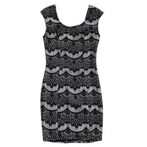 Windsor Women's Black & White Lace Bodycon Dress LBD little black dress small